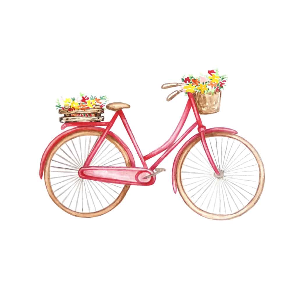 Retro red bicycle, wooden box with flowers